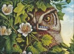 (image for) Owl
